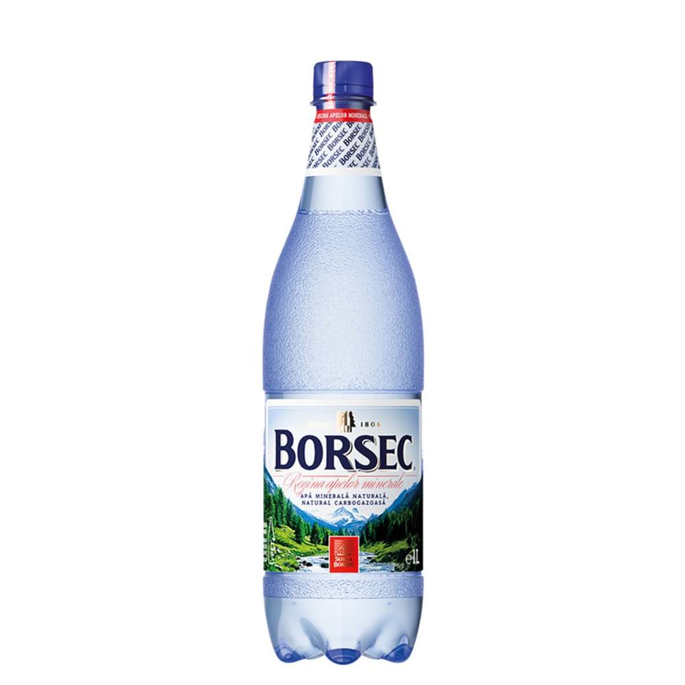 Вода Borsec (Apă minerală Borsec) — фото 1