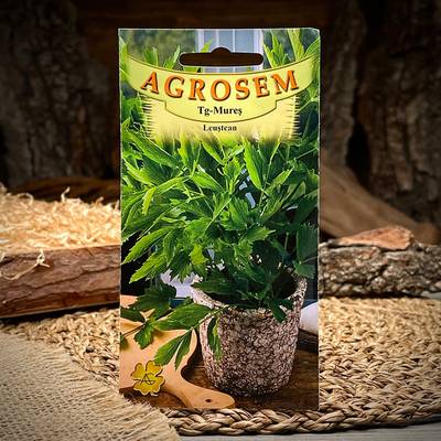 Semi di levistico "Agrosem"